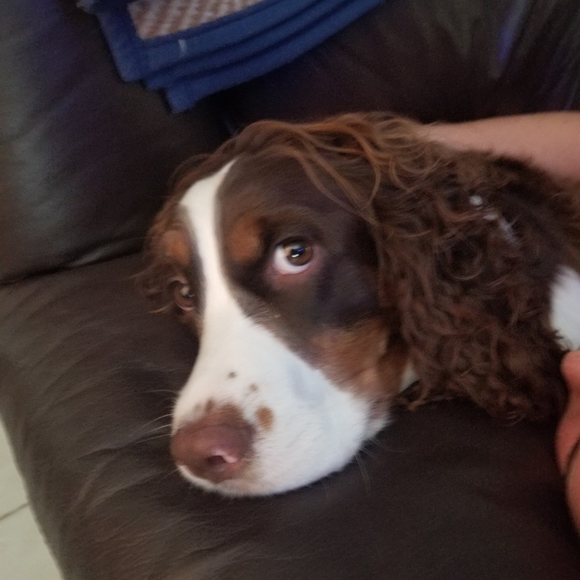 Posh Ambassador, Annette - Picture 12 of 12